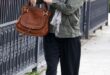 love this chloe bag | Chloe marcie bag, Rachel bilson, Celebrity ba