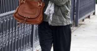 love this chloe bag | Chloe marcie bag, Rachel bilson, Celebrity ba