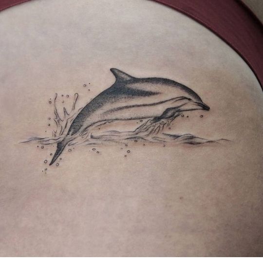dolphin tattoo designs | Dolphins tattoo, Tattoo designs, Tatto