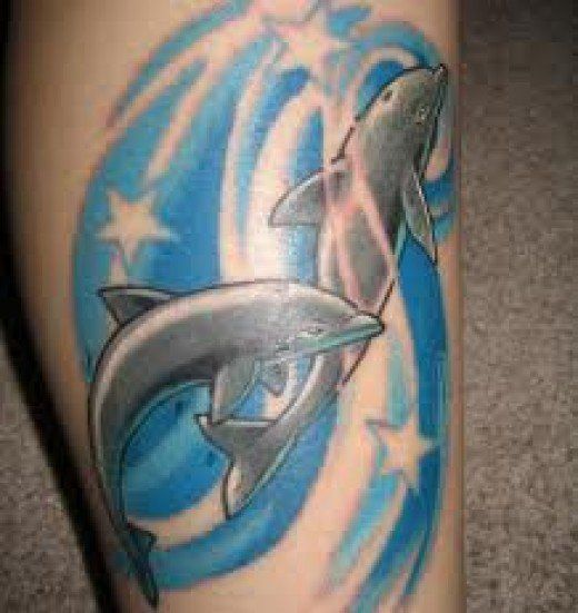 Dolphin Tattoo Designs And Dolphin Tattoo Meanings-Dolphin Tattoo .