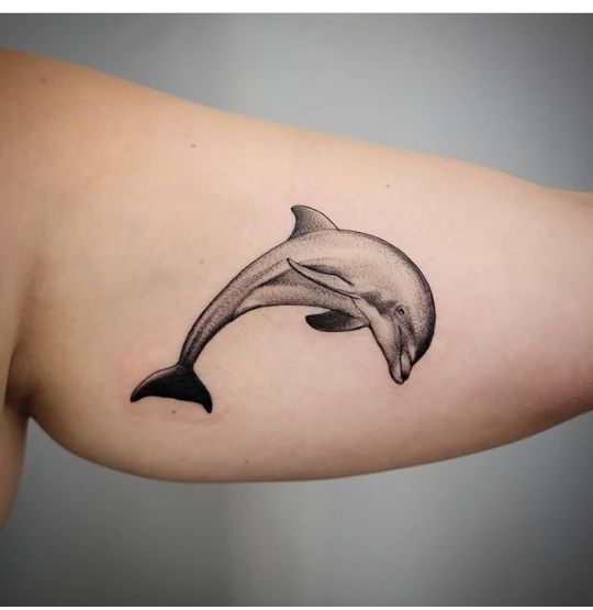 25 Interesting Dolphin Tattoo Designs - The XO Factor | Dolphins .