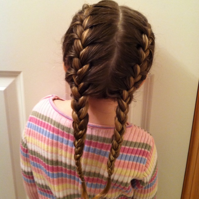Double French braids...so neat! | Double french braids, French .