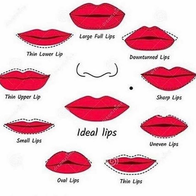 Comment your ideal lip shape 👄 | Lip shapes, Makeup tips lips .