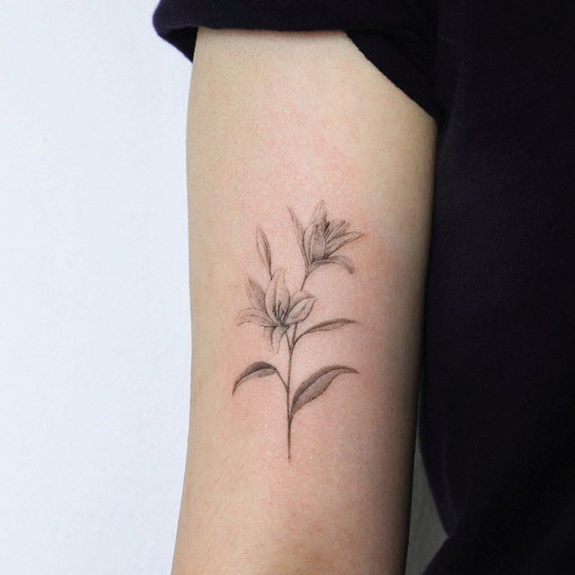 30+ Botanical Floral Lily Tattoo Designs On Arms Bring A Touch Of .