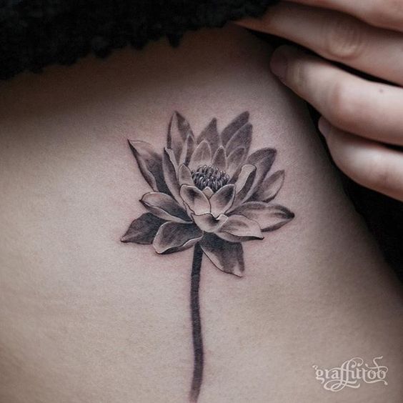 10 Beautiful Water Lily Tattoos - Tattoo.com | Water lily tattoos .