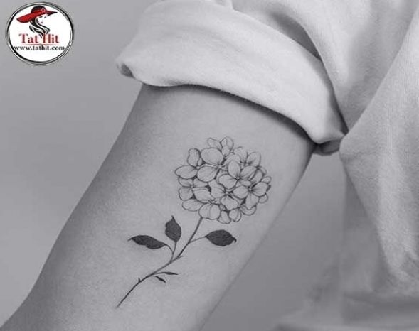 hydrangea | Hydrangea tattoo, Small tattoos, Black ink tatto