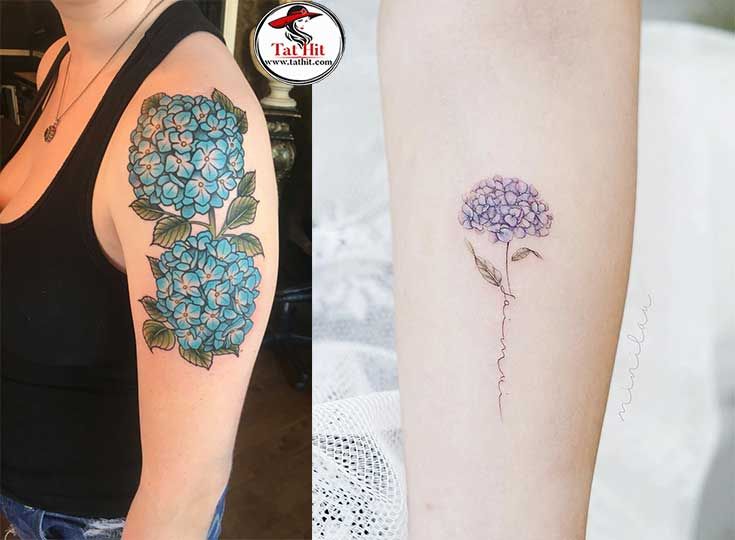 Hydrangea tattoo ideas... | Hydrangea tattoo, Flower tattoo arm .