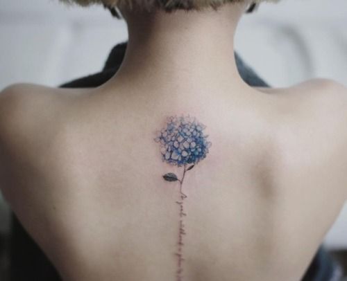 tattoo-hydrangea on Tumblr | Pretty tattoos, Flower spine tattoos .