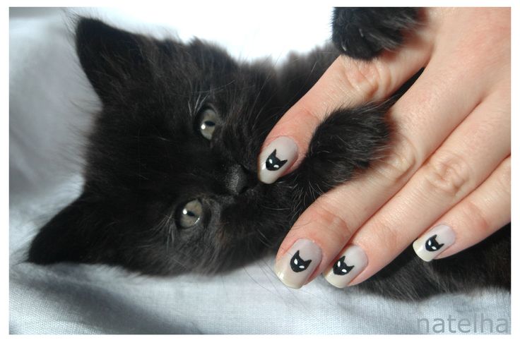 otro tipo de kitty! jeje love!!! | Cat nails, Cat nail designs .