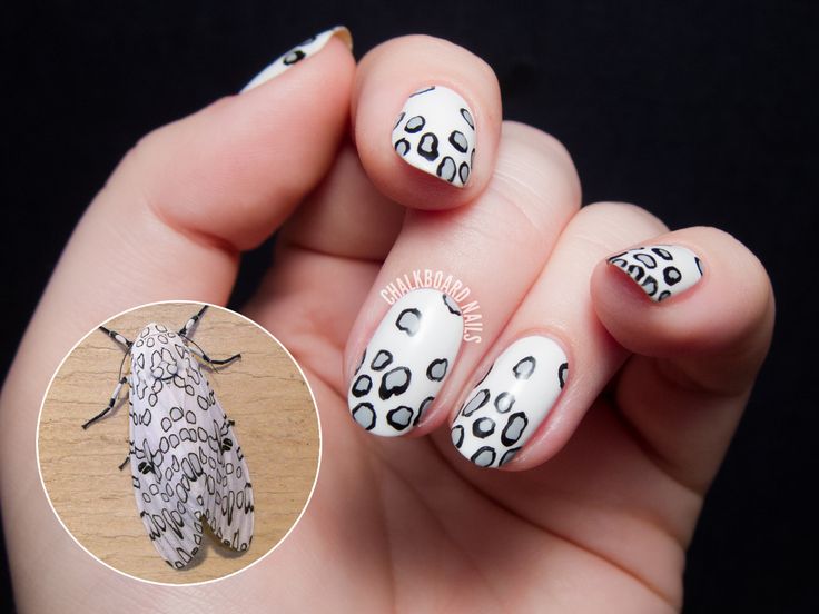 Giant Leopard Moth Inspired Nail Art | Disenos de un