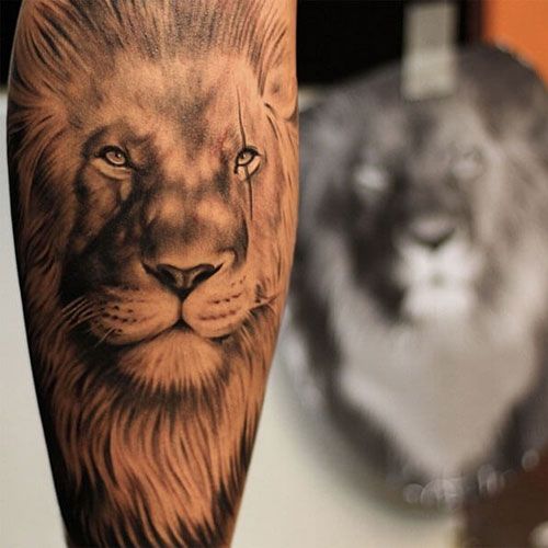 51 Best Lion Tattoos For Men: Cool Designs + Ideas (2019 Guide .