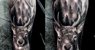 103 Best Animal Tattoos in 2021 – Cool and Unique Designs | Deer .