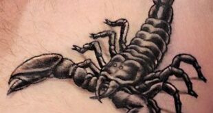 i like this one alot | Scorpio tattoo, Scorpion tattoo, Scorpio .