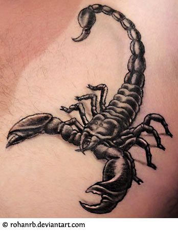 Gorgeous Scorpion Tattoo Ideas